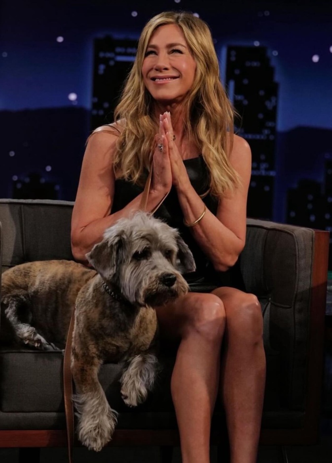 جينيفر أنيستون