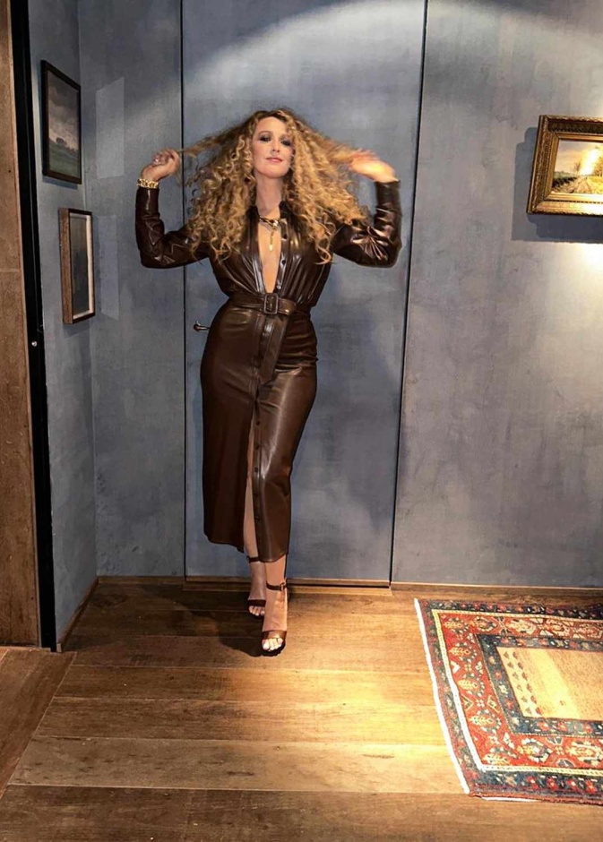 منازل بليك ليفلي حول العالم