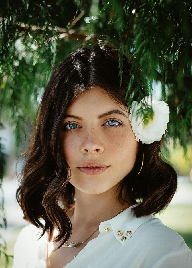 تعرفي على فوائد عشة القبار لتعزيز صحتكِ وجمالكِ بشكل طبيعي