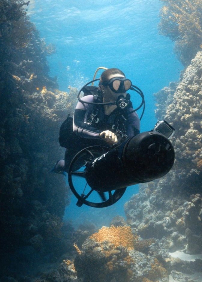 10 مغامرات البحر الأحمر: ملاذات شاطئية وتجارب لا تُنسى فوق الماء وفي الأعماق