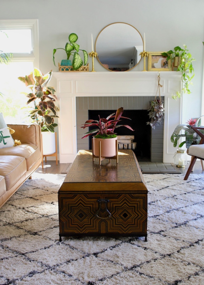 أحد العناصر الرئيسية للعافية النفسية هو النباتات المنزلية