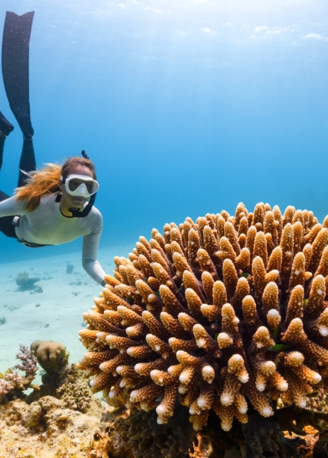 5 فعاليات تأمل واسترخاء في جدة: رحلة إلى عالم الصفاء والراحة النفسية