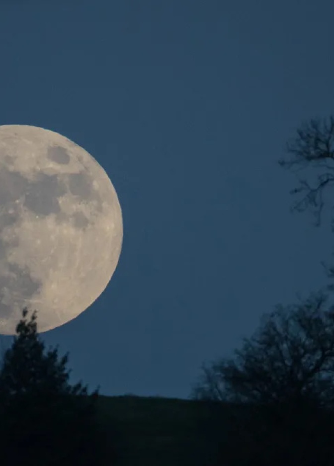 لماذا يسمى القمر المكتمل في شهر يناير بقمر الذئب؟