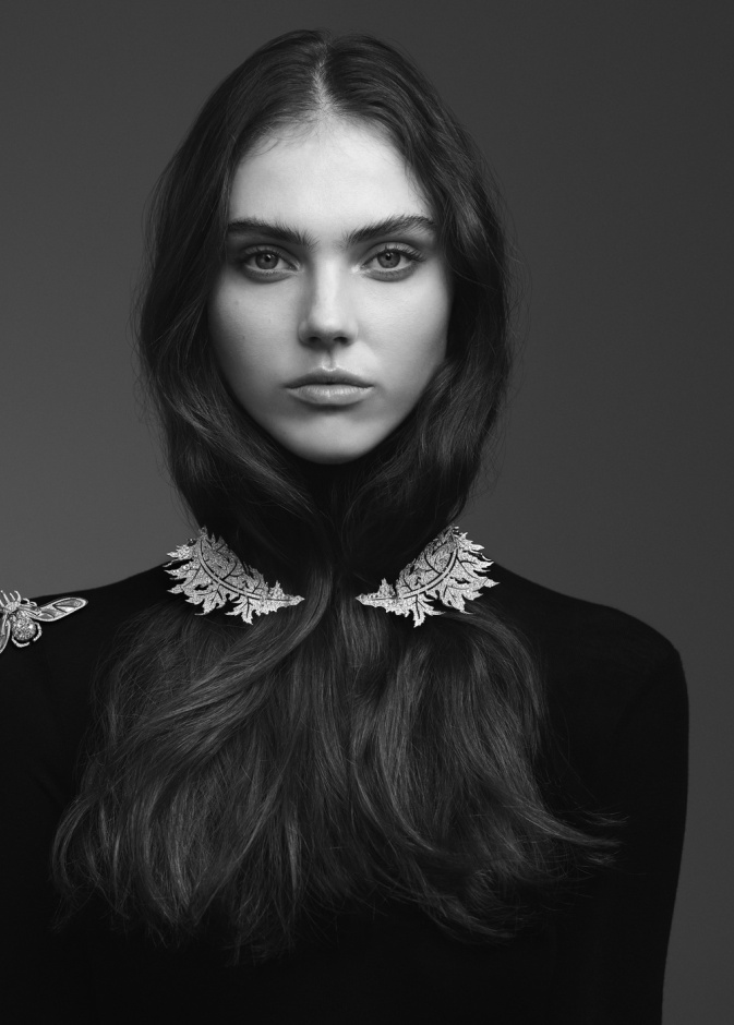 Chardon الشوك - من بوشرون