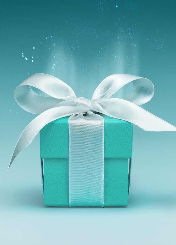 Holiday 2024 Blue Box