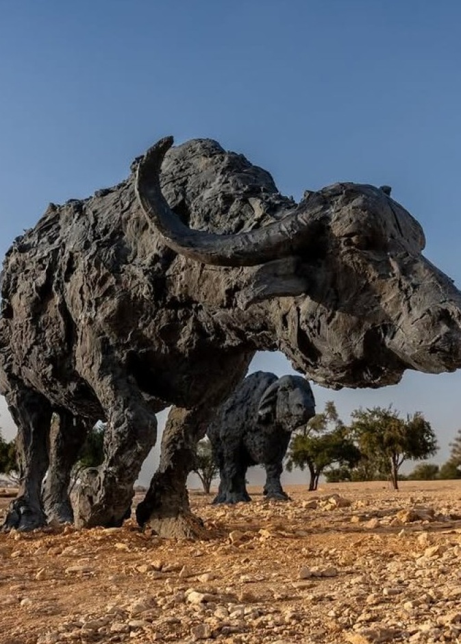 "الرياض آرت" بالتعاون مع السفارة الإيطالية يعلن اكتمال توزيع منحوتات دافيدي ريفالتا في الرياض