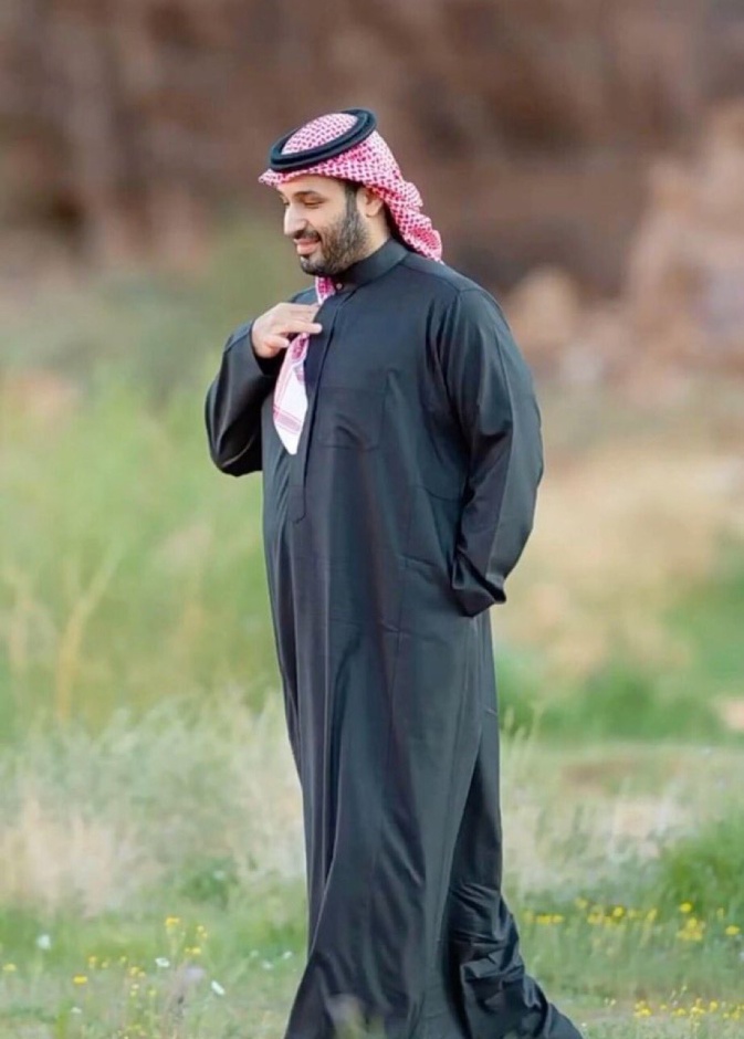 بتوجيه من سمو ولي العهد.. قصة نبتة نادرة غيّرت خارطة نيوم