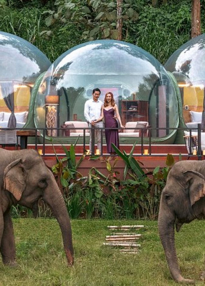 منتجعAnantara Golden Triangle Elephant Camp & Resort