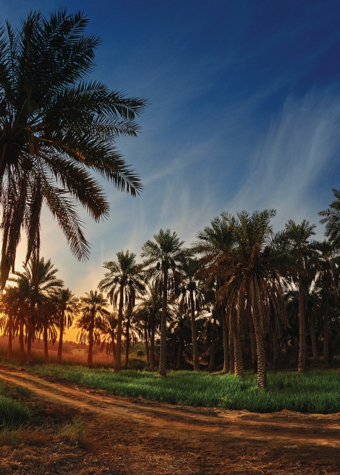 السياحة في الأحساء