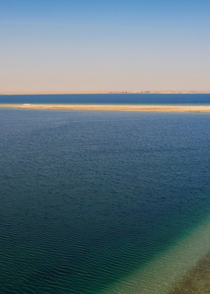 "بين" أول تجربة استجمام وتأمل نسائية في السعودية