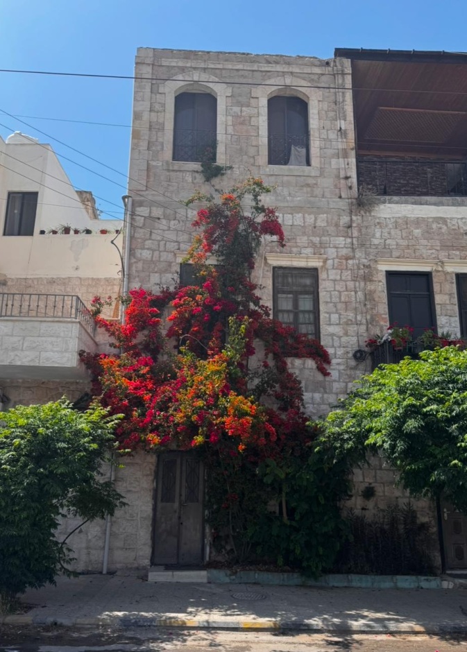 يوت ثقافية في عمّان