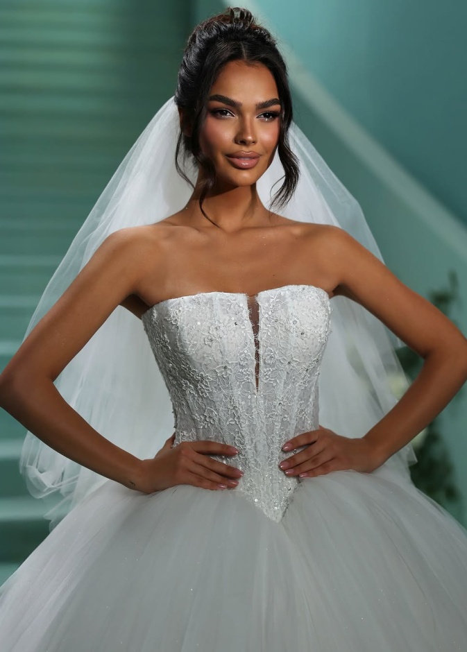 خصر الباسك في عروض Vladiyan Royal Dresses