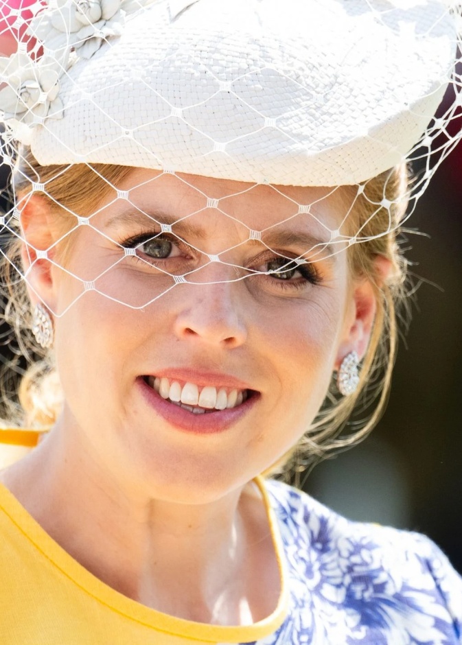 أميرة ديزني في وندسور