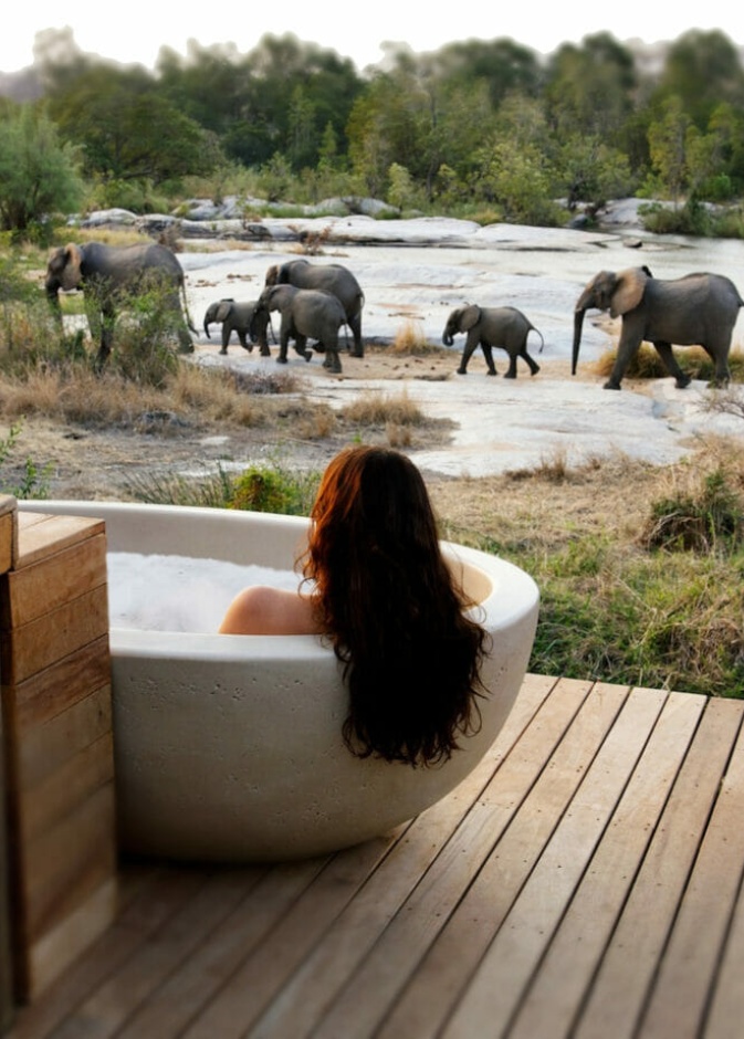 منتجع محمية لوندولوزي الخاصة للحيوانات البرية Londolozi Private Game Reserve