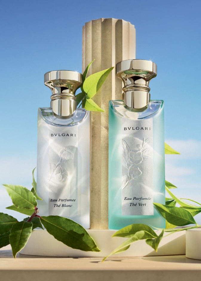 أحدث إصدارات العطور 2025: رحلة بين الفخامة والحداثة