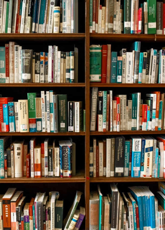 أشهر المكتبات العامة في السعودية.. جولة سياحية بين المعرفة والجمال
