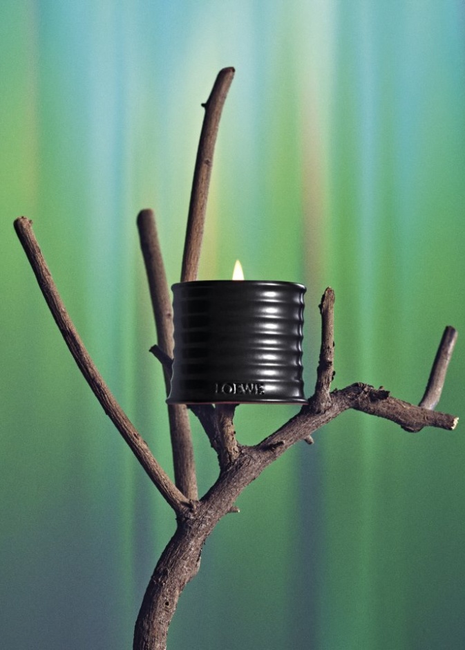 LOEWE للعطور تقدم عطر PALO SANTO ضمن تشكيلة العطور المنزلية