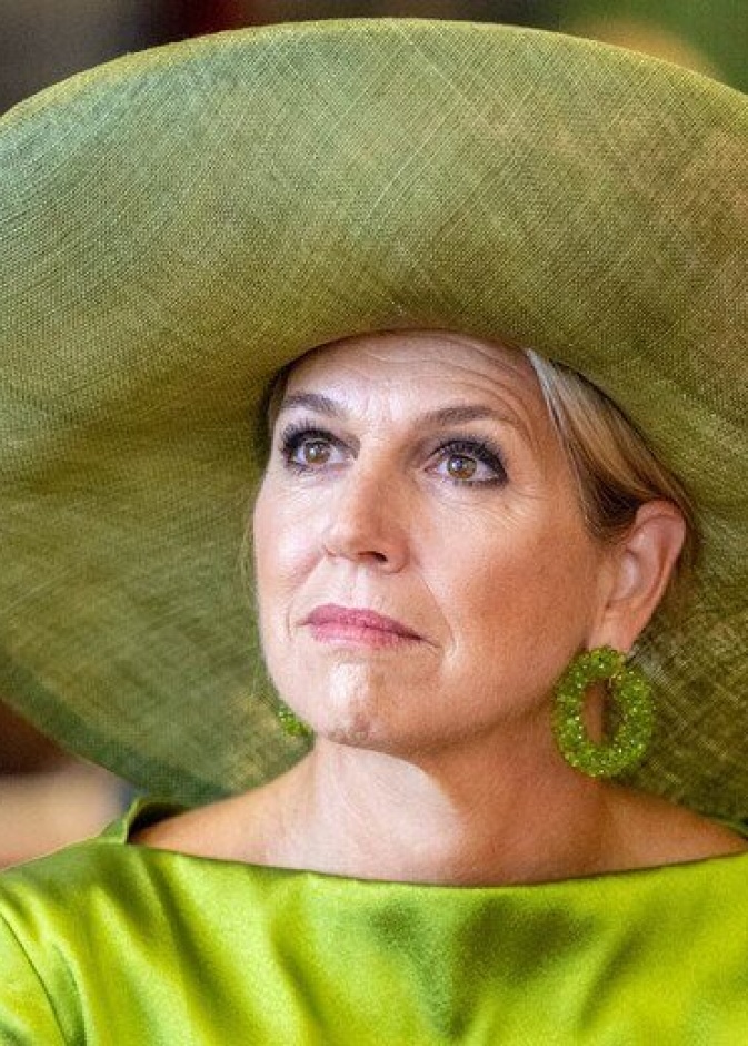 الملكة ماكسيما تحتفي بمرور 40 عامًا على إنشاء بنك الأدمغة