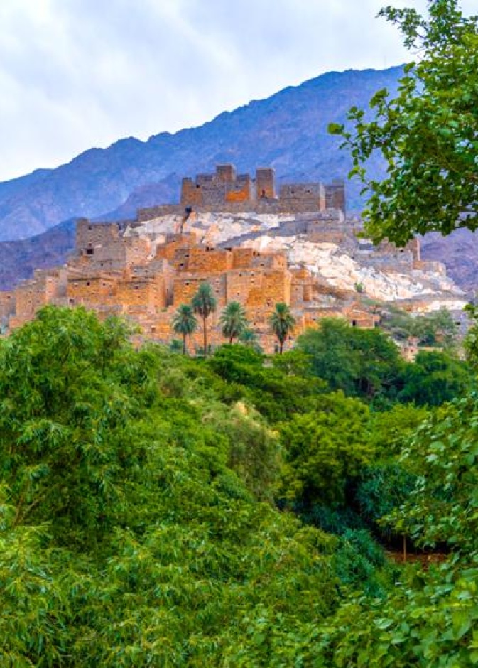 طبيعة ساحرة وأجواء تأسر القلوب.. رحلة استكشاف 8 أيقونات خضراء في قلب المملكة