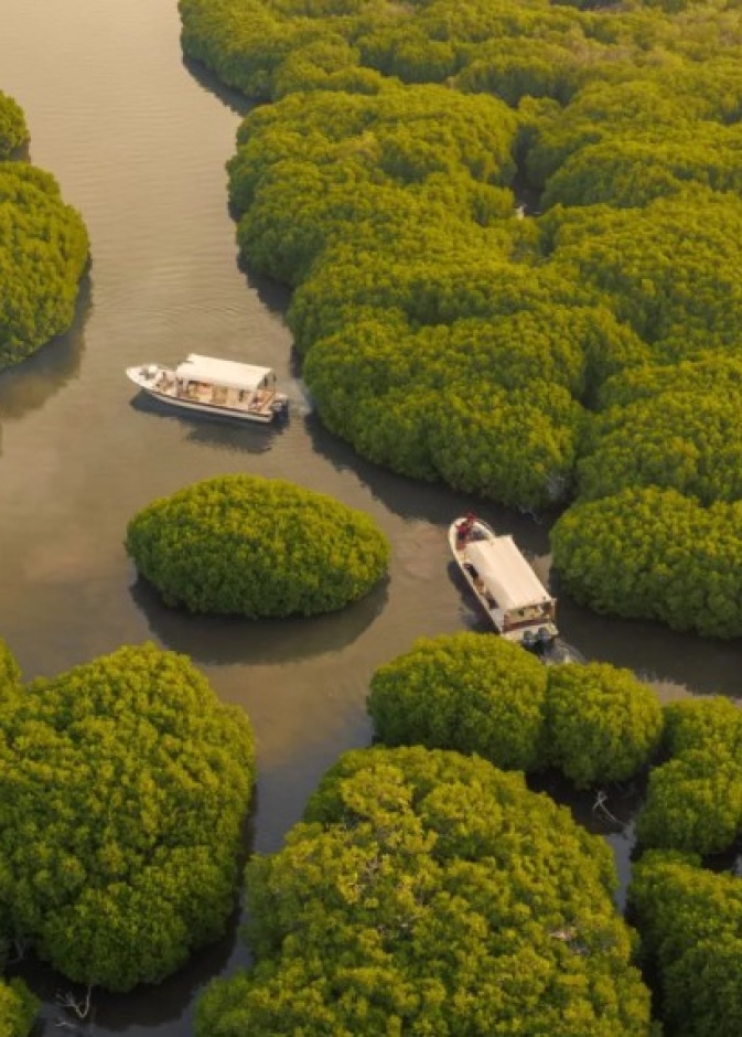 10 وجهات شتوية غير تقليدية يمكنكم الاستمتاع بزيارتها في المملكة