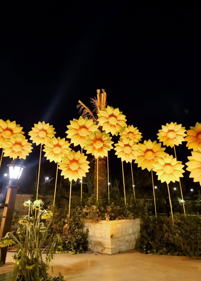 دوار الشمس حاضر في أعراس الخريف