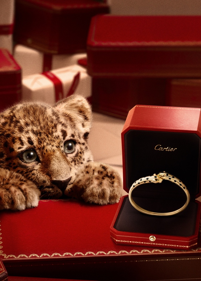 سوار بانتير الفاخر