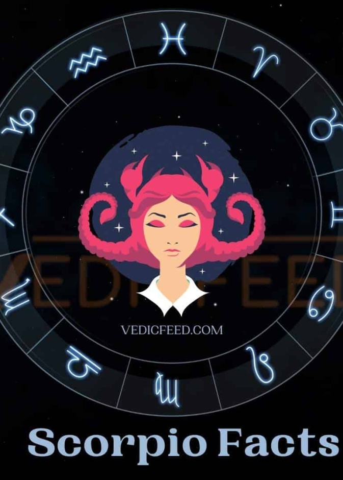 في موسم العقرب.. لنحضر كل الدفاتر القديمة ونفتح صفحة جديدة