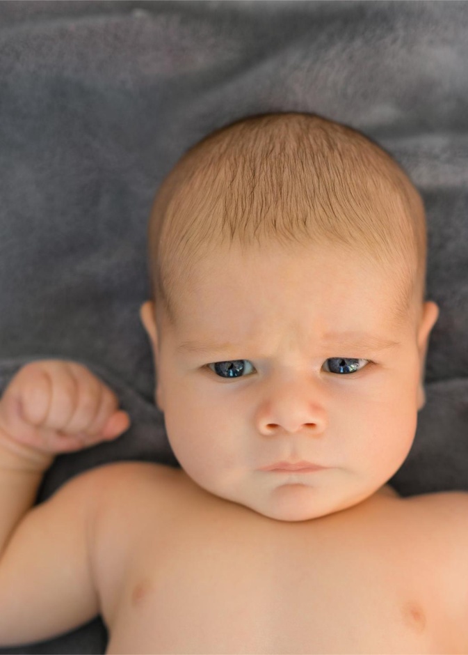 أسماء أولاد مستوحاة من الحيوانات القوية والشجاعة