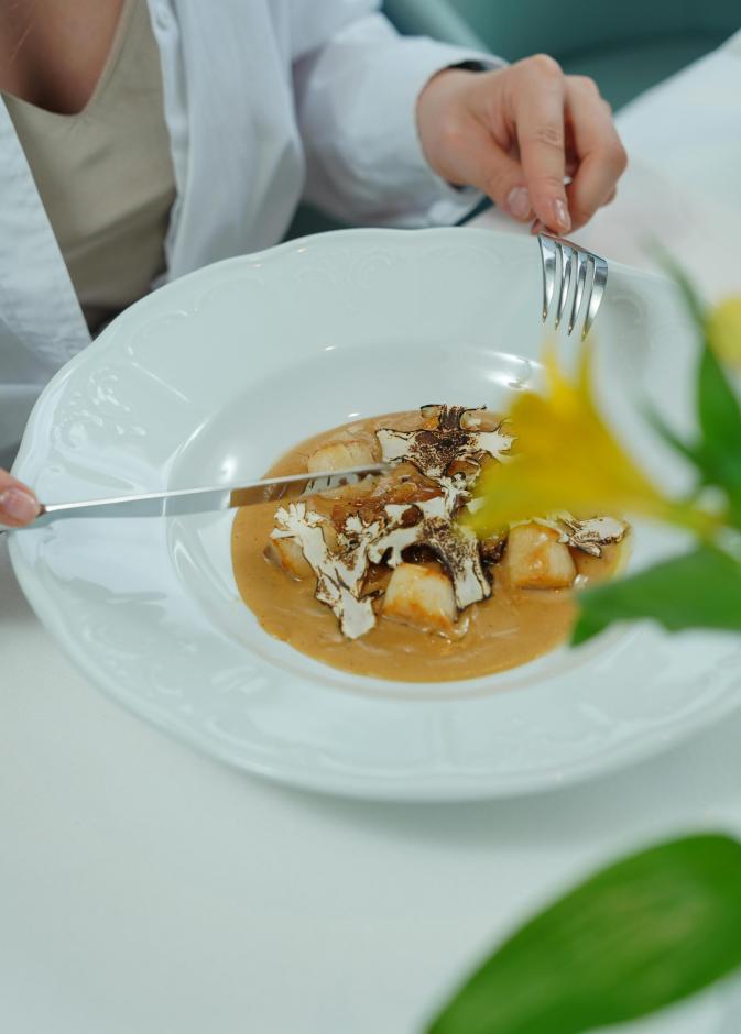 ما هو الترافل تعرفوا على أنواعه