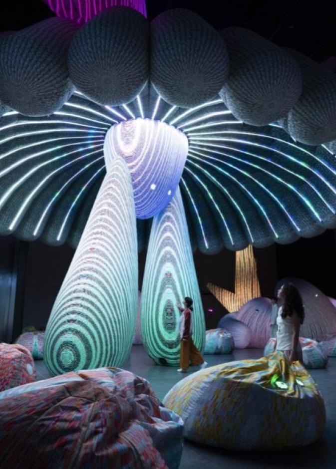 مهرجان القوز للفنون 2026.. نبض الإبداع يعود إلى السركال أفنيو