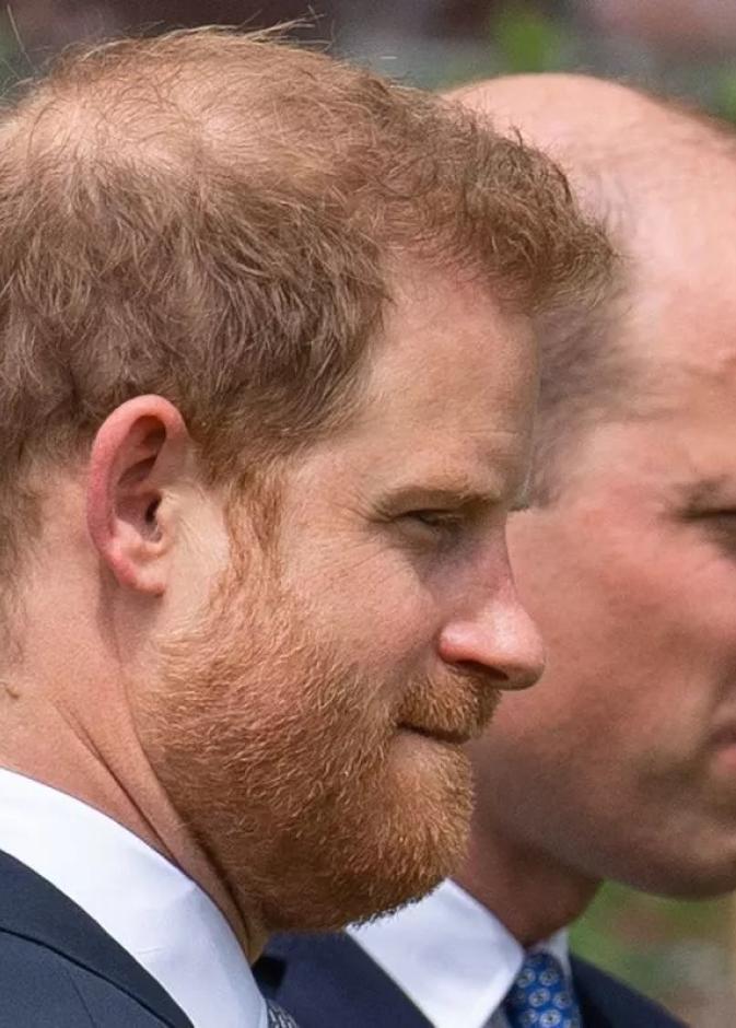 توقعات بتصاعد الخلاف بين الأمير ويليام والأمير هاري خلال عام 2026