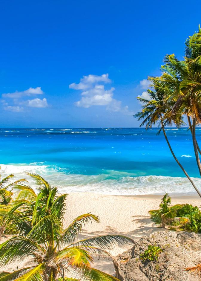 المناخ في بربادوس