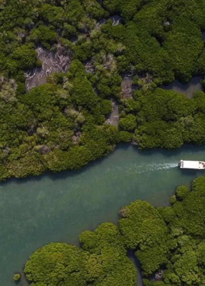 جزر فرسان.. رحلة إلى فردوس بحري يخطف الأنفاس في موسم الشتاء بالمملكة