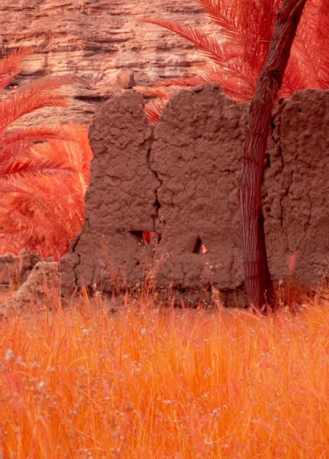 رحلة تجدد في العُلا.. حين تتنفس الروح وسط سكون الصخور