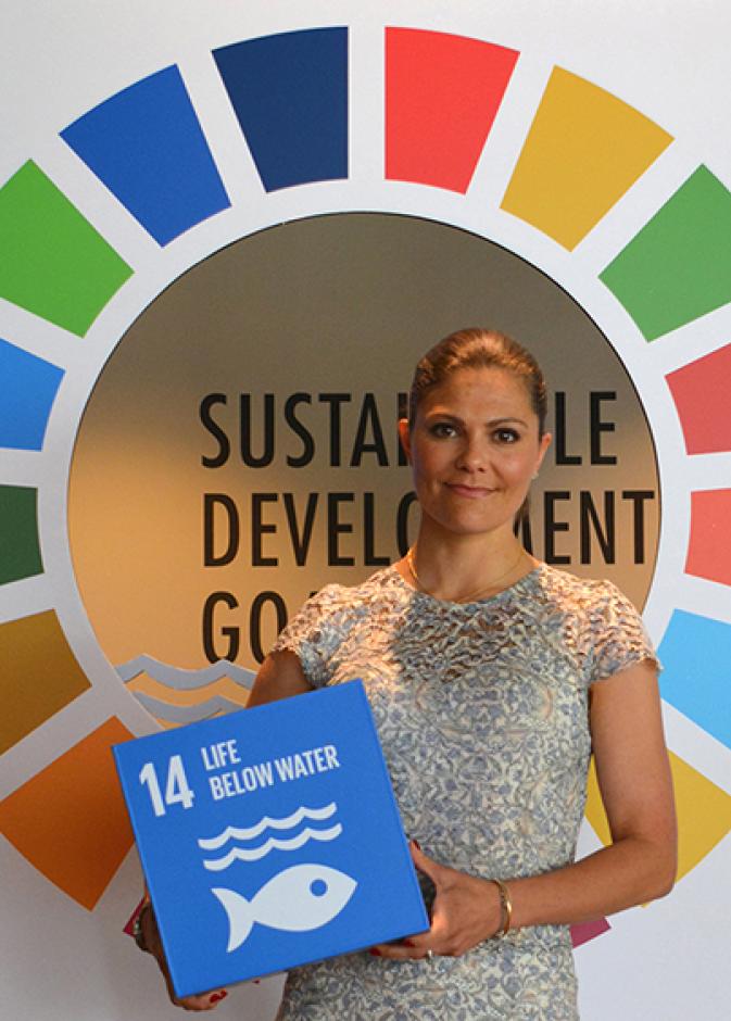 الأميرة فيكتوريا رائدة الاستدامة وحماية المحيطات