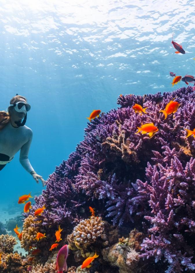 من الغوص إلى التأمل.. وجهات سعودية ساحرة تعيد التوازن لحياتك