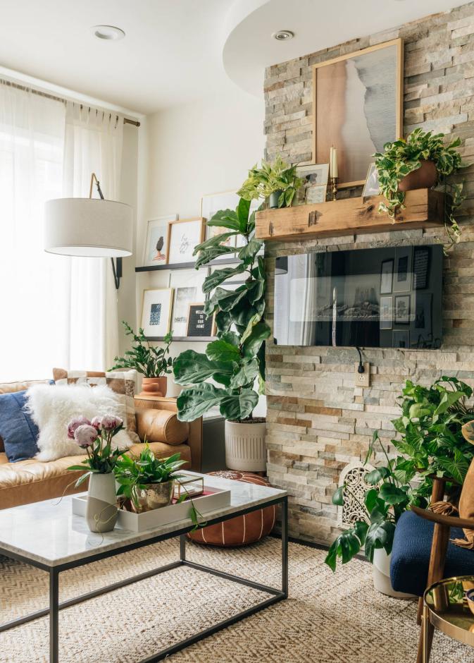 النباتات تعزز أجواء أي غرفة وتمنحها حيوية وانتعاش واضحين