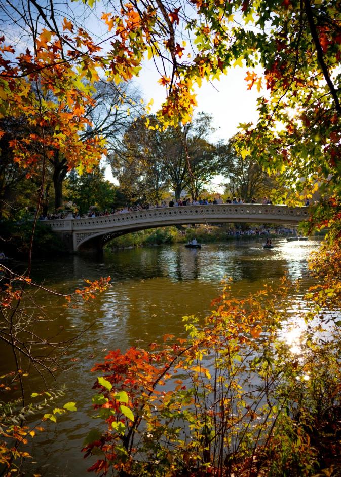 تجربة السياحة في نيويورك لعشّاق الخصوصية والفخامة