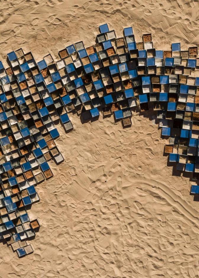 Desert X العلا 2026 ينطلق بعنوان "سديم لا يعد" تحت إشراف وجدان رضا وزوي ويتلي