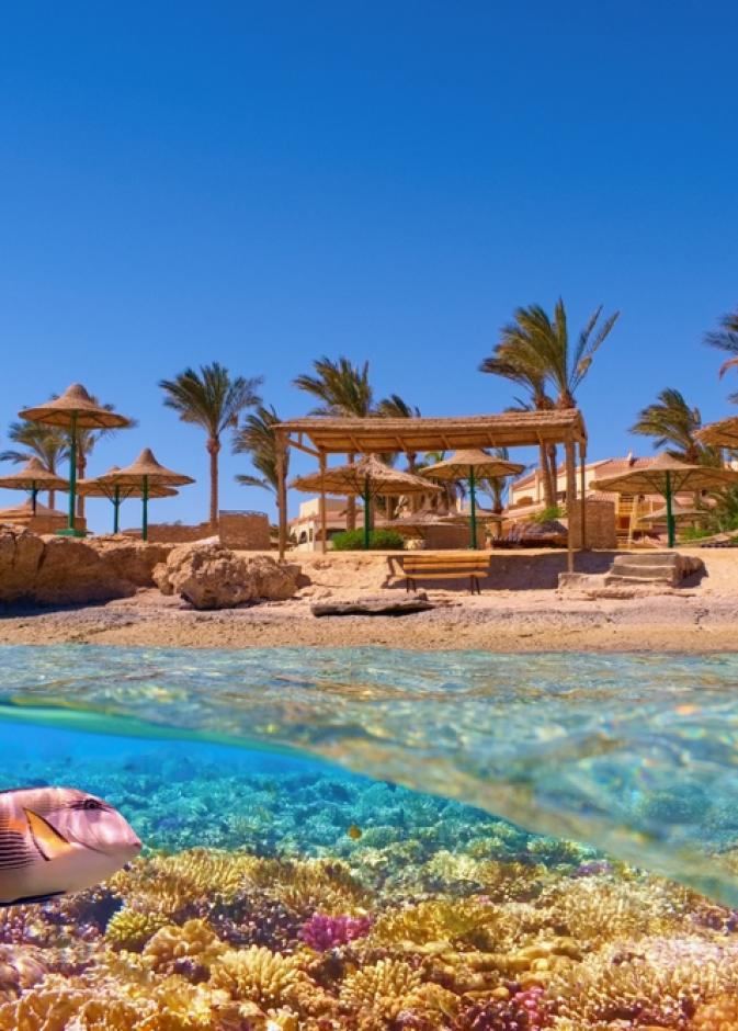 دليل هي لرحلات شهر العسل.. الغردقة عاصمة المصايف العربية