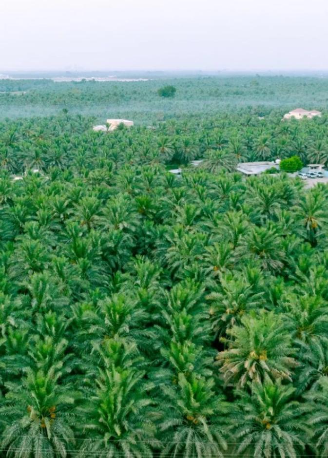 سحر الاستجمام في المنطقة الشرقية.. حيث يلتقي البحر بالتراث وتنبض اللحظات بتجارب لا تُنسى