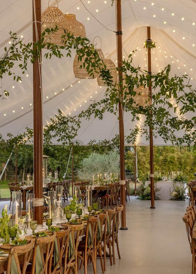 تناغم البيخ والأخضر- الصورة من flowersmith