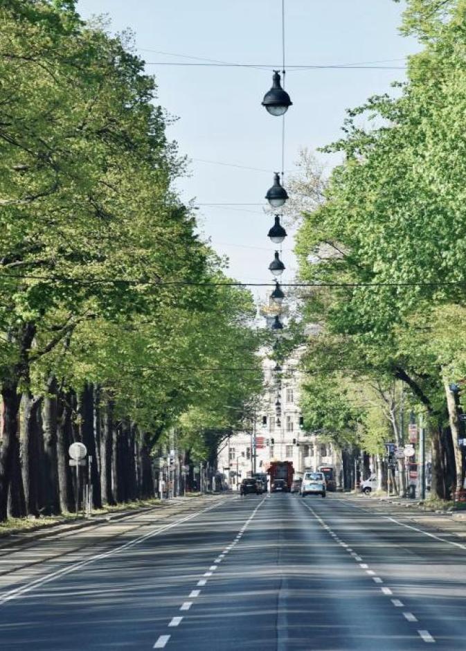 الرينغشتراسه الطريق الذي صنع فيينا