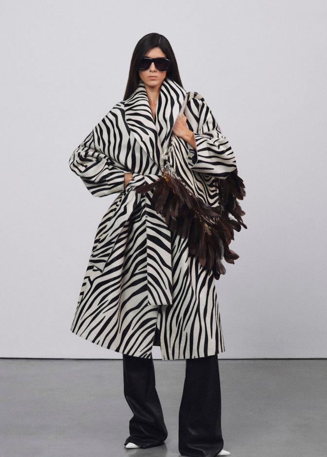 نقشة الحمار الوحشي‏