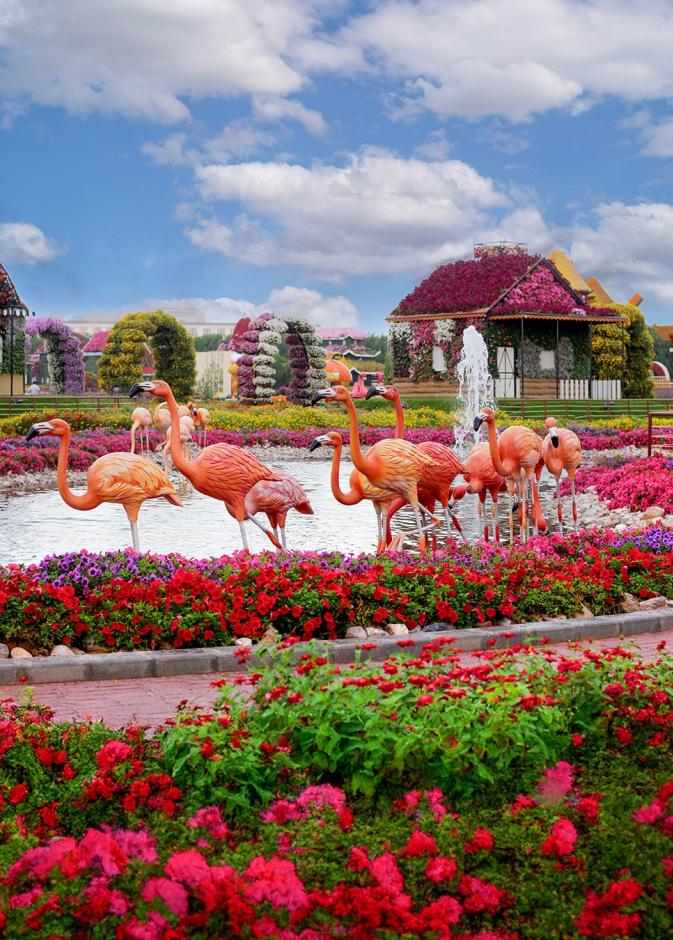 دليلك لتجربة ممتعة في دبي ميراكل جاردن… رحلة بين الزهور حيث تتحوّل الطبيعة إلى فن