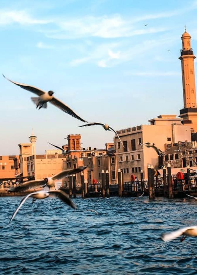 رحلة بين الماضي والحاضر في دبي.. دليلك لزيارة أفضل 10 وجهة تراثية في دبي