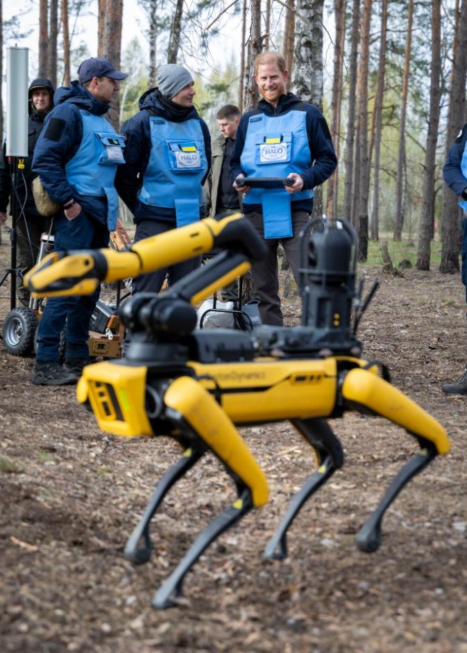 الأمير هاري في أوكرانيا