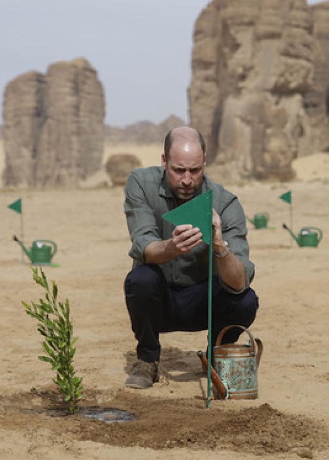 العُلا تزرع مليون نبتة محلية تعزّز من خلالها الاستدامة وتعيد إحياء الطبيعة