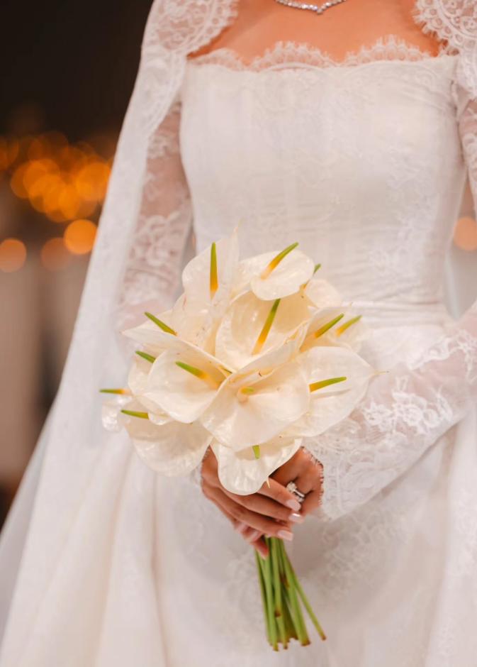 زهور الأنثوريوم البيضاء