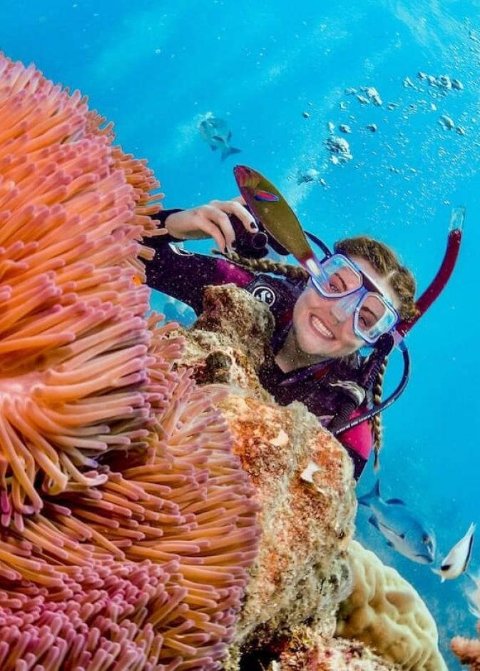 الحيد المرجاني العظيم Great Barrier Reef، أستراليا